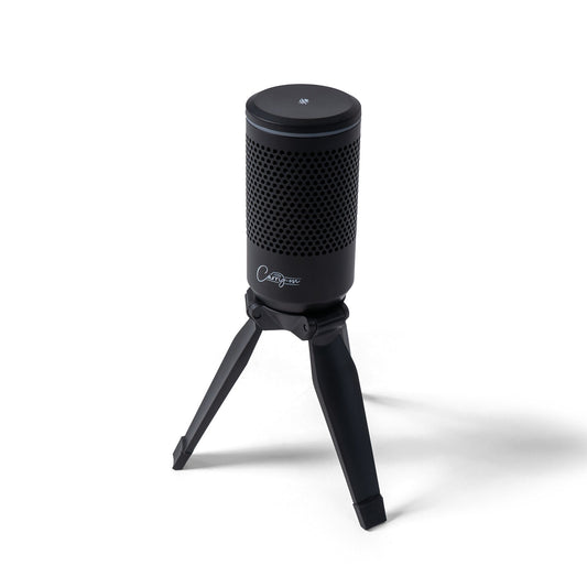 Carry-On Foldable USB Microphone
