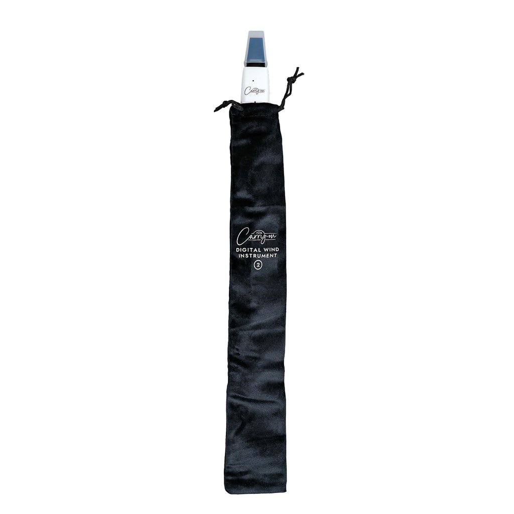 Carry-on Digital Wind Instrument 2