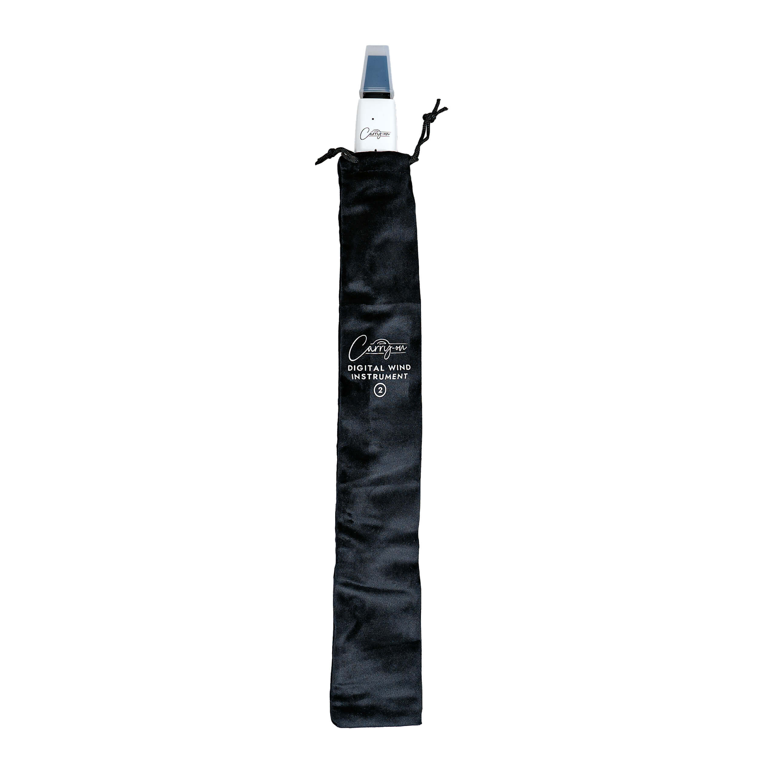 Carry-on Digital Wind Instrument 2
