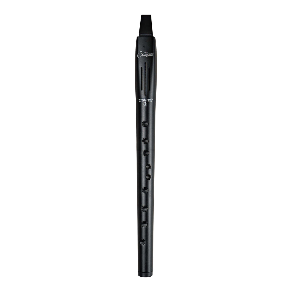 Carry-on Digital Wind Instrument 2