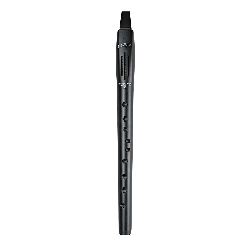 Carry-on Digital Wind Instrument 2