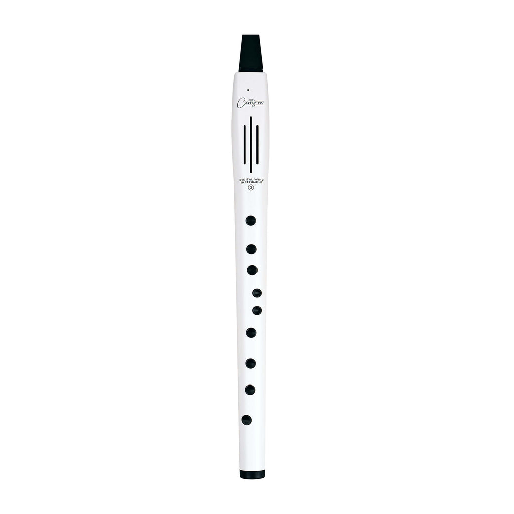 Carry-on Digital Wind Instrument 2