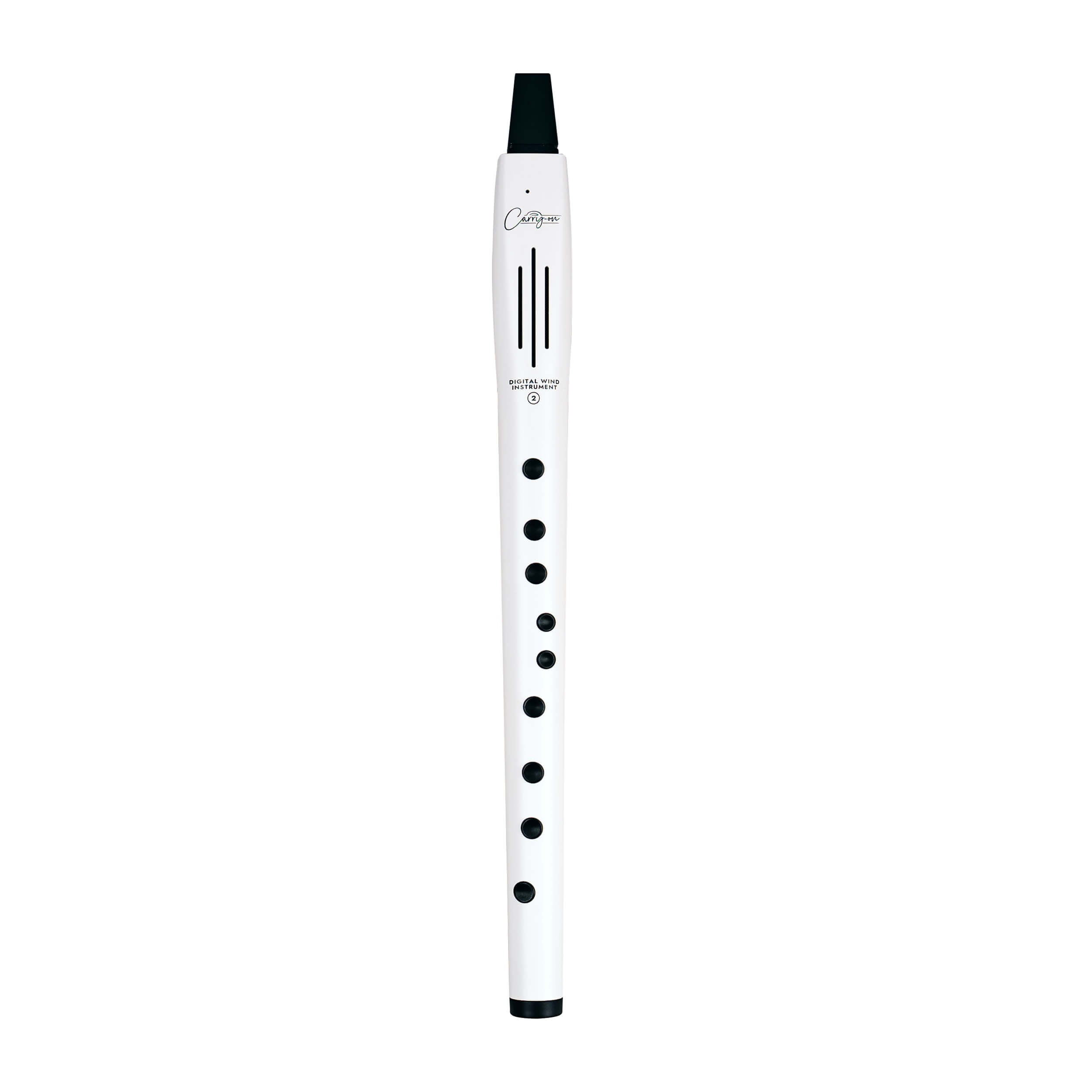 Carry-on Digital Wind Instrument 2