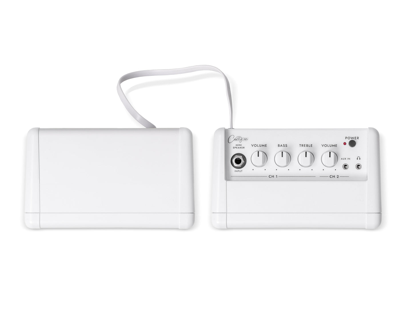 Carry-on Mini Speaker