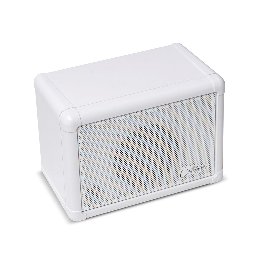 Carry-on Mini Speaker
