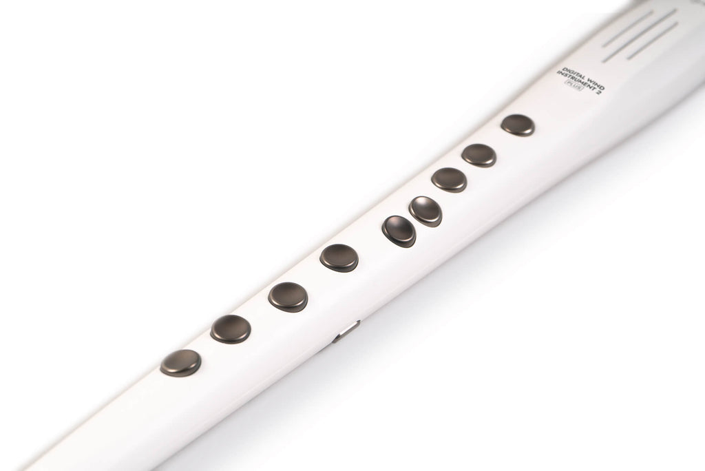 Carry-on Digital Wind Instrument 2 Plus