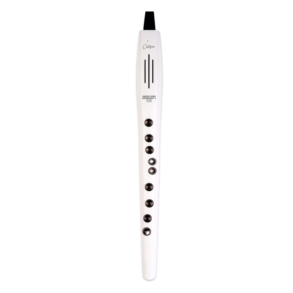 Carry-on Digital Wind Instrument 2 Plus
