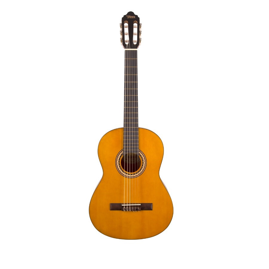 Valencia Student Classical Guitar (4/4 Size)